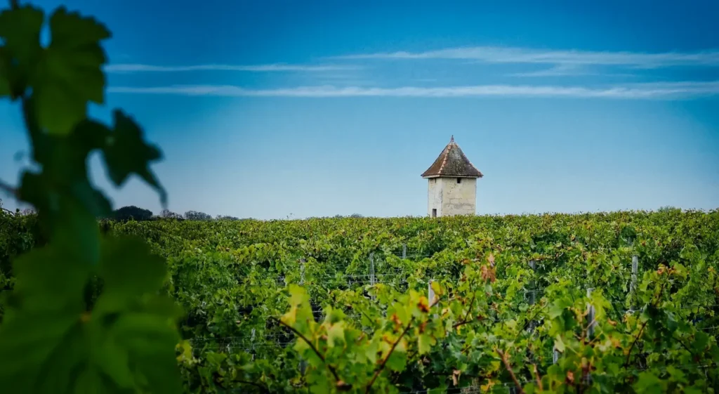 Vue sur la Tour - pigeonnier